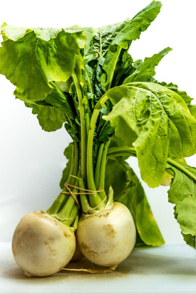 turnip-5231857_1920