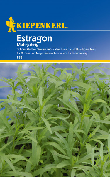 Kiepenkerl Estragon, mehrjährig