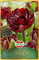 Sperli Premium Gefüllte Frühe Tulpe Palmyra