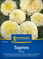 Kiepenkerl Tagetes Artic