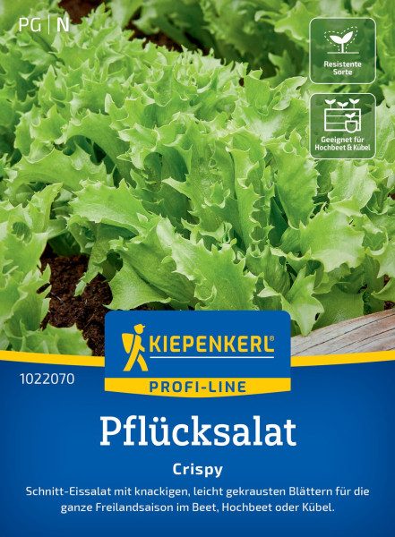 Kiepenkerl Pflücksalat Crispy (Schnittsalat)