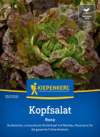 Kiepenkerl Kopfsalat Roxy