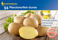 Kiepenkerl Pflanzkartoffel Gunda 24 St