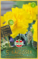 Sperli Premium Gefüllte Narzisse Golden Ducat