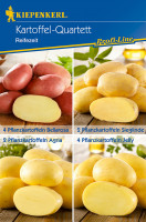 Kiepenkerl Pflanzkartoffel Quartett Reifezeit