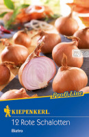 Kiepenkerl Schalotten Biztro 12 St.