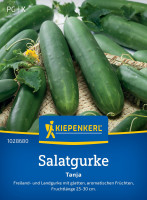 Kiepenkerl Salatgurke Tanja