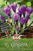 Produktbild von Sperli Gartenkrokus Grand Maitre mit der Darstellung lila Krokusblüten, Verpackungsinformationen und einem Hinweisschild für die... Produktbild von Sperli Gartenkrokus Grand Maitre mit der Darstellung lila Krokusblüten, Verpackungsinformationen und einem Hinweisschild für die Bienenfreundlichkeit.
