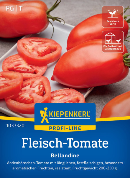 Kiepenkerl Fleisch-Tomate Bellandine F1