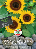 Sperli Sonnenblume SPERLI's Helios