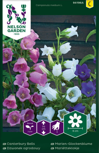 Produktbild von Nelson Garden Marien-Glockenblume mit Abbildungen der mehrfarbigen Blüten und Informationen zur Wuchshöhe sowie Piktogrammen für Pflanzhinweise.