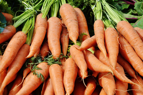 carrots-366191_1920