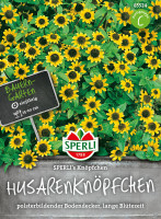 Sperli Husarenknöpfchen SPERLI's Knöpfchen