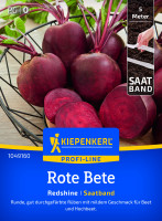 Kiepenkerl Rote Bete Redshine Saatband Große Tüte