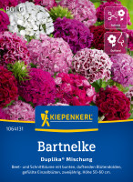 Kiepenkerl Bartnelke Duplika® Mischung