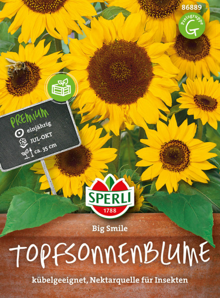 Produktbild der Sperli Topfsonnenblume Big Smile mit blühenden Sonnenblumen und Verpackungsinformationen wie Pflanzzeit und Hinweis als Nektarquelle für Insekten.