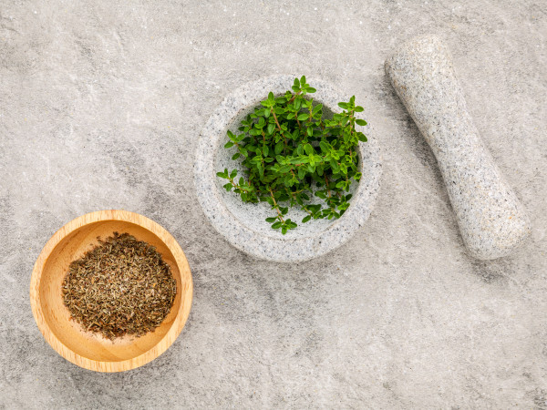 2400-close-up-of-lemon-thyme-leaves-in-a-white-mortar-and-pestle-set-up-on-a-stone-table-thymus-citriodorus-lemon-thyme-or-citrus-thyme-species-of-flowering-plant-in-the-family-lam