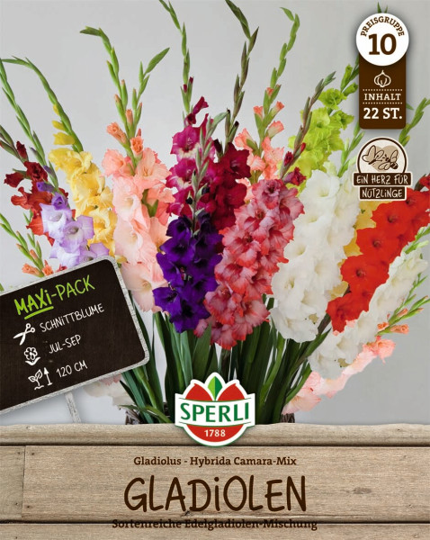 Produktbild von Sperli Gladiole Hybrida Camara-Mix mit bunten Gladiolenblüten und Verpackungsdesign, das Informationen zu Schnittblume, Blütezeit und Höhe enthält.