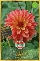 Sperli Dahlie Crazy Legs