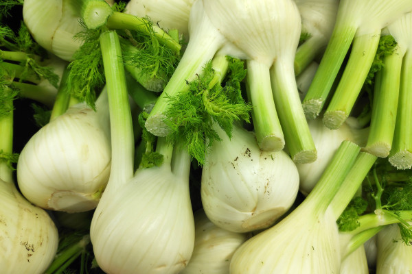 2400-stack-of-florence-fennel-bulbs-on-a-market-stall