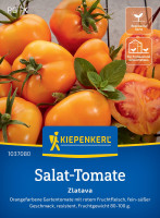 Kiepenkerl Salat-Tomate Zlatava