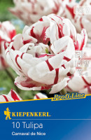 Kiepenkerl Profi-Line Gefüllte späte Tulpe Carnaval de Nice