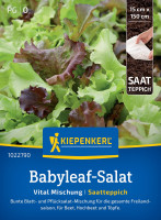 Kiepenkerl Babyleaf-Salat Vital Mischung Saatteppich
