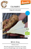 Culinaris BIO Pastinake White King