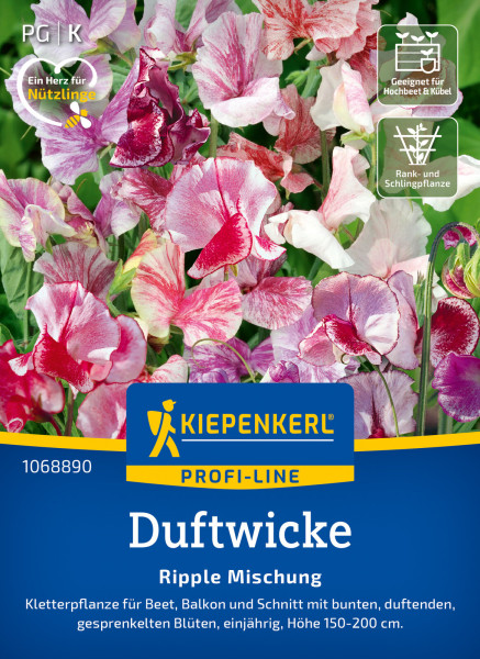 Kiepenkerl Duftwicke Ripple Mischung