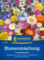 Kiepenkerl Blumenmischung Trockenblumen