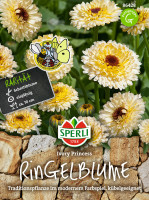 Sperli Ringelblume Ivory Princess
