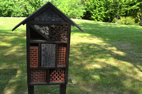 2400-insect-hotel-placed-by-the-side-of-a-street-house-for-wild-insects-in-the-park