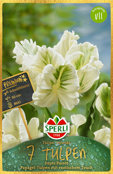 Produktbild von Sperli Premium Papagei-Tulpe Super Parrot mit Abbildung der weißen und grünen Blüten, Informationen zur Blütezeit und Wachstumshöhe sowie Markenlogo.