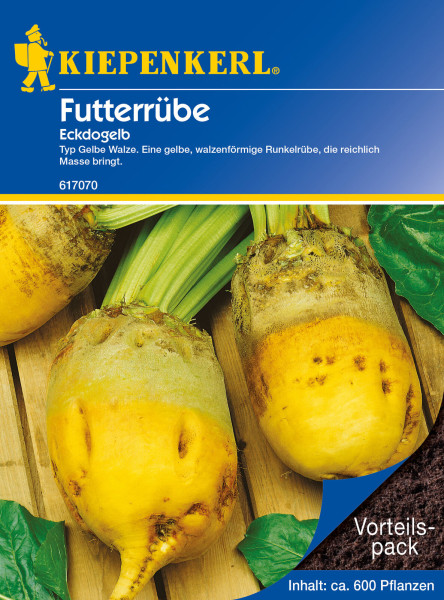Produktbild von Kiepenkerl Futterrübe Eckdogelb 35 g mit Darstellung der gelben Runkelrüben auf Holzhintergrund und Verpackungsinformationen für circa 600 Pflanzen.
