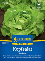Kiepenkerl Kopfsalat Analena