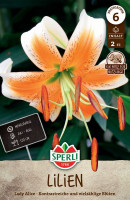 Sperli Lilie Lady Alice