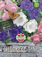 Sperli Glockenblume SPERLI's Gefüllte Mischung