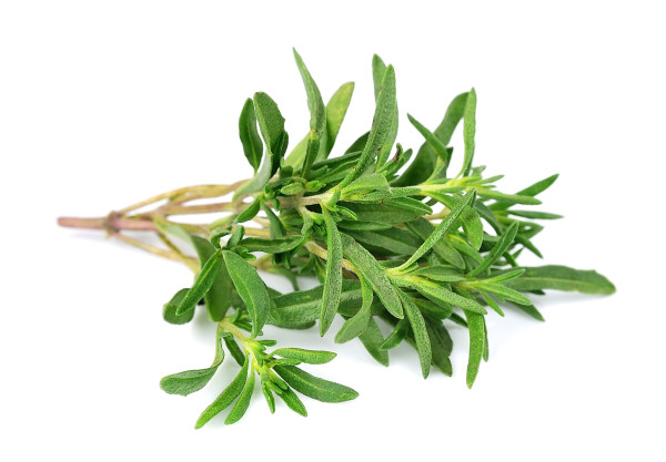2400-thyme-fresh-herb-isolated