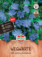 Sperli Wegwarte