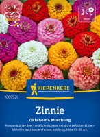 Kiepenkerl Zinnie Oklahoma Mischug