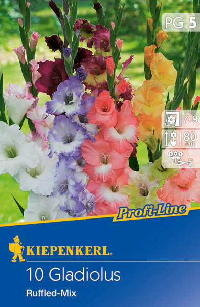 Produktbild von Kiepenkerl Butterfly-Gladiole Ruffled Mix mit Abbildung verschiedenfarbiger Gladiolen vor einem Gartenhintergrund und Produktinformationen.