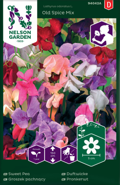 Produktbild von Nelson Garden Duftwicke Old Spice Mix mit bunten Blüten und Verpackungsinformationen wie Wuchshöhe und Pflanzabstand.