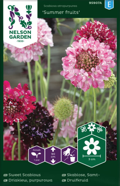 Produktbild von Nelson Garden Samt-Skabiose Summer fruits mit Abbildungen von blühenden pinken und roten Blumen sowie Pflanzinformationen auf der Verpackung.