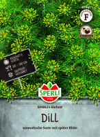 Dill SPERLI's Elefant