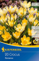 Produktbild von Kiepenkerl Wildkrokus Romance mit gelben Blüten, Verpackungsinformationen und Pflanzsymbolen. Produktbild von Kiepenkerl Wildkrokus Romance mit gelben Blüten, Verpackungsinformationen und Pflanzsymbolen.