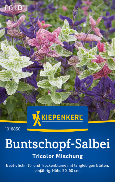 Kiepenkerl Buntschopf-Salbei Tricolor Mischung