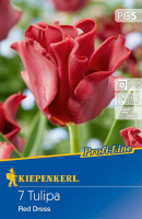 Kiepenkerl Profi-Line Kronentulpe Red Dress
