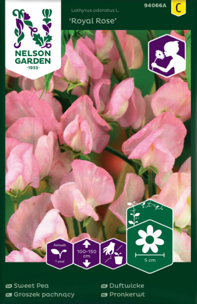 Produktbild von Nelson Garden Duftwicke Royal Rose mit Blütenabbildung und Informationen zu Pflanzenhöhe Wuchsform sowie mehrsprachigen Produktbezeichnungen.