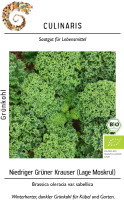 Culinaris BIO Grünkohl Niedriger Grüner Krauser