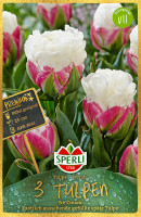 Sperli Premium Gefüllte Späte Tulpe Ice Cream